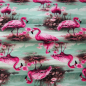 Preview: Jersey Baumwolle Pink Flamingo von Stenzo | Meterware